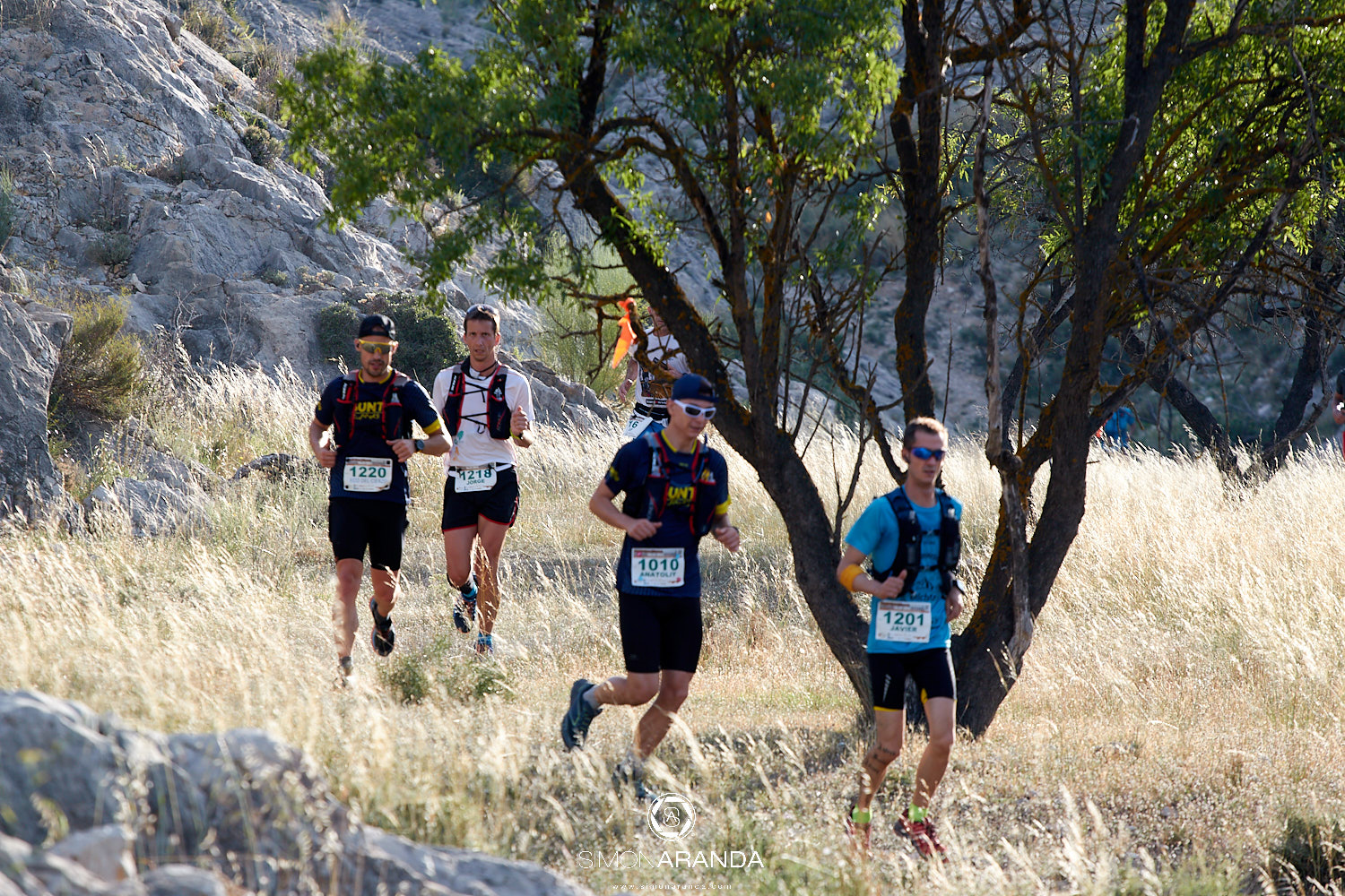 Desertica_Olivera_0273